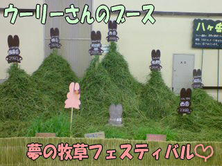 071104_6.jpg