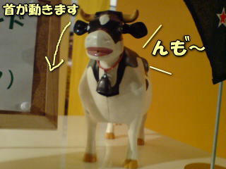 071111_3.jpg