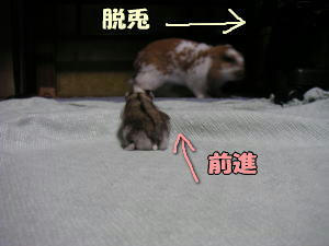 071124_4.jpg