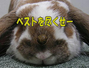 071125_3.jpg