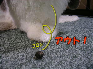 071125_5.jpg