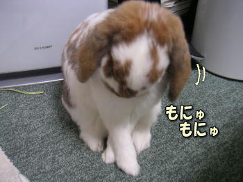 071206_1.jpg