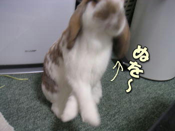 071206_2.jpg