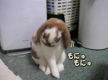 071206_3.jpg