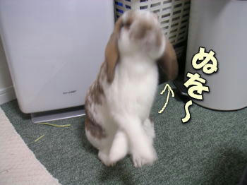 071206_4.jpg