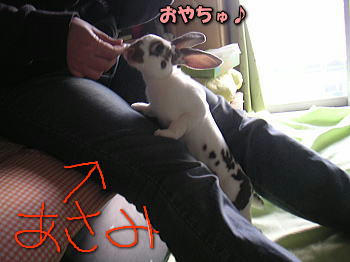 071208_1.jpg