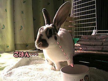 071208_3.jpg