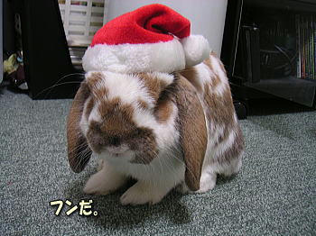 071223_4.jpg