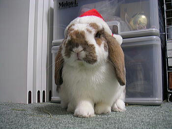 071222_4.jpg