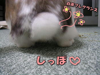 071222_5.jpg
