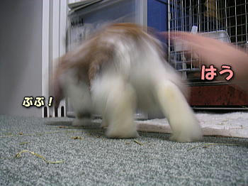 071222_7.jpg