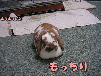 071222_2.jpg