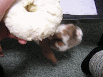 071229.gif