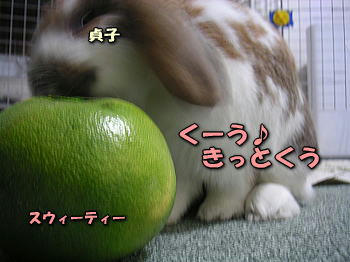 071222_8.jpg
