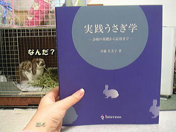 071229_1.jpg