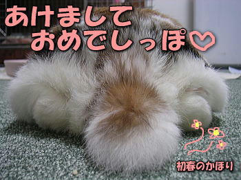 080101_1.jpg