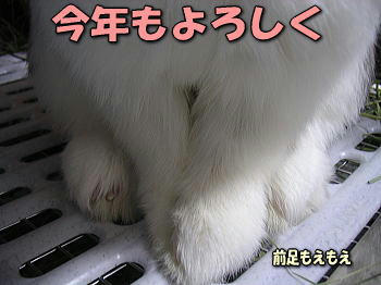 080101_2.jpg