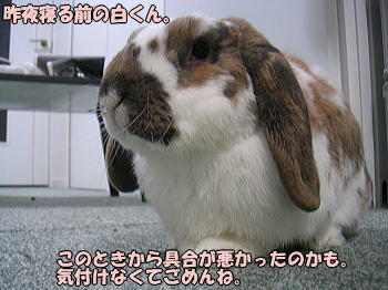 080107_1.jpg