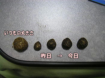 080108_1.jpg
