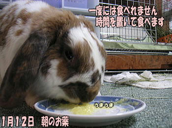 080111.jpg