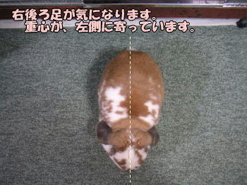 080113_3.jpg