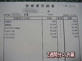 080120_1.jpg