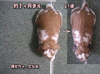 080120_4.jpg