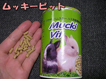 080124_1.jpg