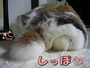 080124_4.jpg