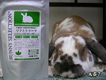 080126_2.jpg
