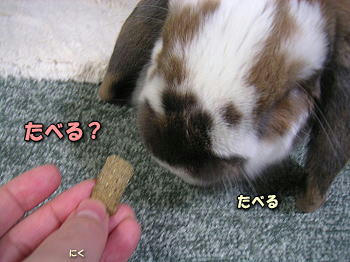 080126_3.jpg