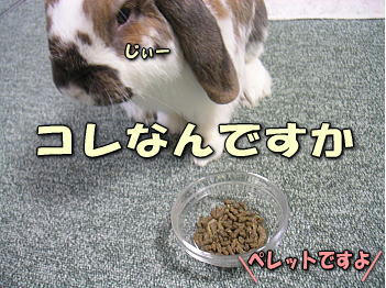 080129_1.jpg