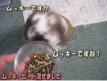 080129_2.jpg