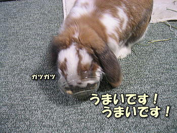 080129_3.jpg