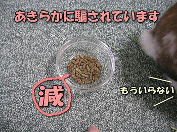 080129_4.jpg