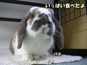 080130_1.jpg