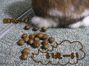080202_3.jpg