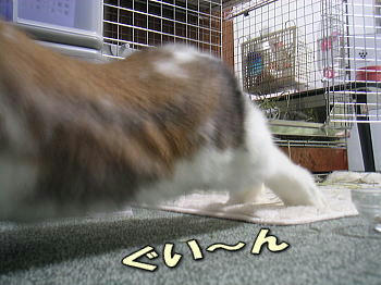 080212_1.jpg