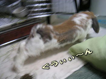 080212_2.jpg