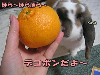 080225_1.jpg