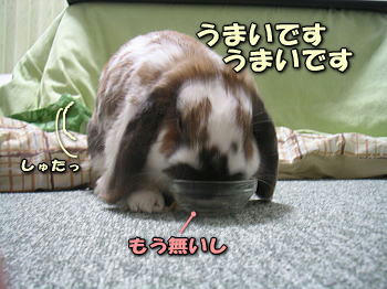 080225_3.jpg