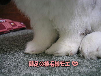 080302_3.jpg