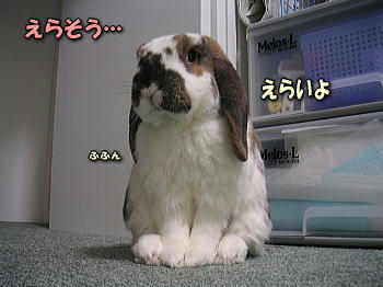 080302_4.jpg