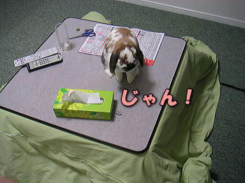080303_1.jpg