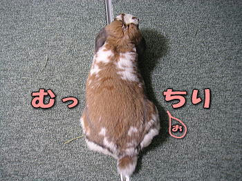 080307_2.jpg