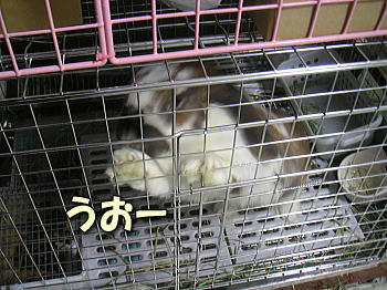 080308_3.jpg