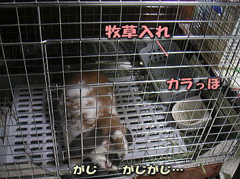 080308_4.jpg