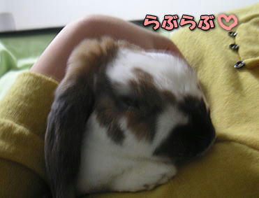 080308_6.jpg