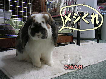 080309_1.JPG