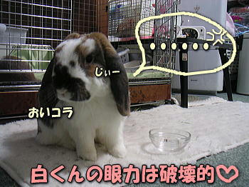 080309_2.JPG